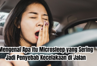 apa itu microsleep