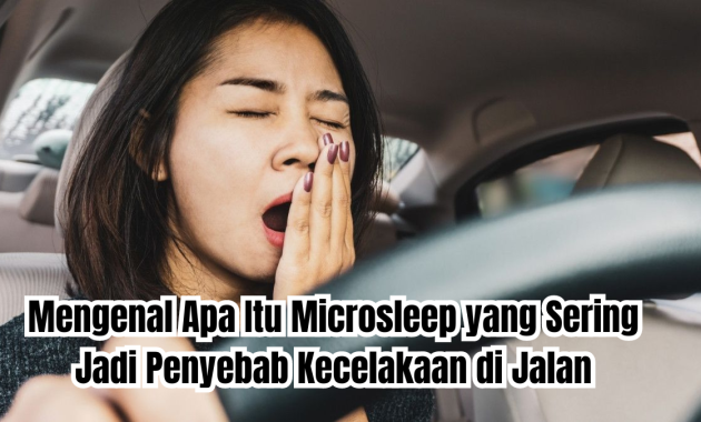 apa itu microsleep