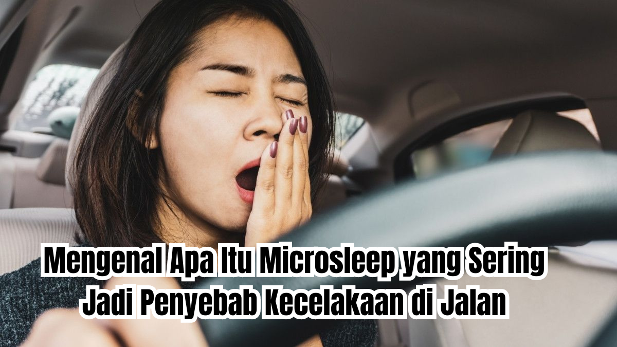 apa itu microsleep