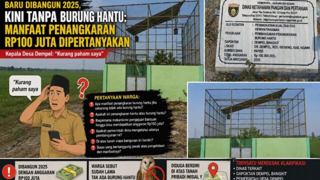 Baru Dibangun 2025, Kini Tanpa Burung Hantu: Manfaat Penangkaran Rp100 Juta Dipertanyakan