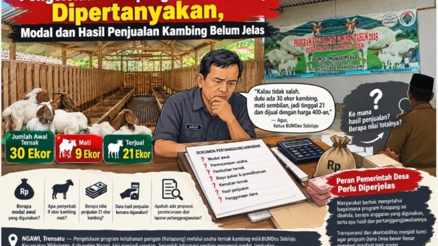 Pengelolaan Ketapang BUMDes Sidolaju Dipertanyakan, Modal dan Hasil Penjualan Kambing Belum Jelas